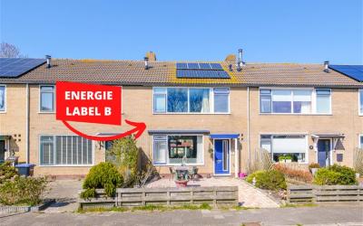 Tulpstraat 48
