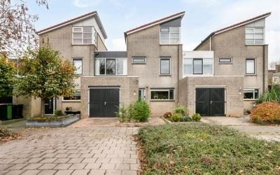 Hornstein 4