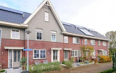 Draadzegge 13