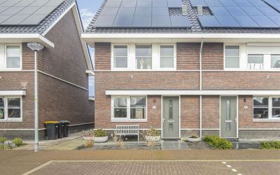 Draadzegge 42