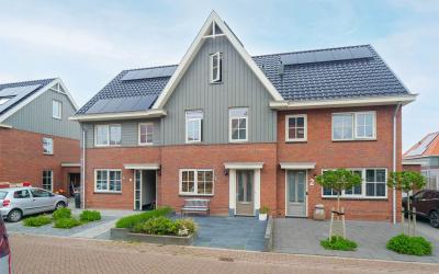 Goudhaver 4