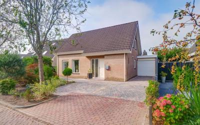 Ruiter 12