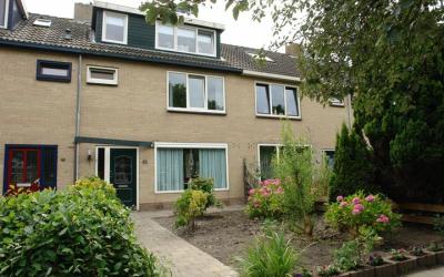 Dokter Hoog. 82