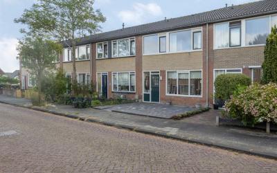 Goudenregen. 8