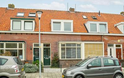 Goudsbloems. 66