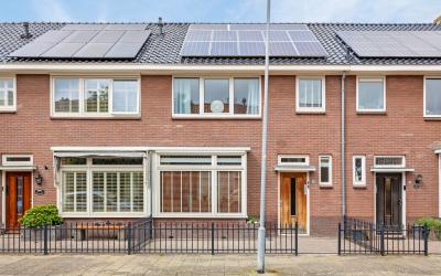 Violenstraat 51