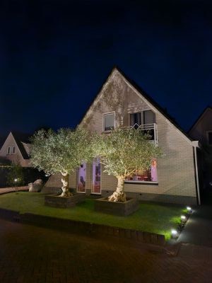 Lichtbaakla. 7