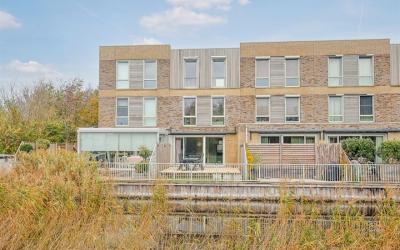 Beukenhout 5