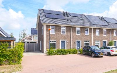 Notenhout 53-D