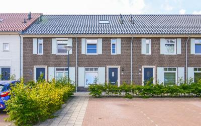 Notenhout 7