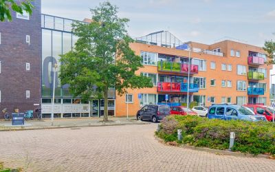 Drooghe Bol 2050