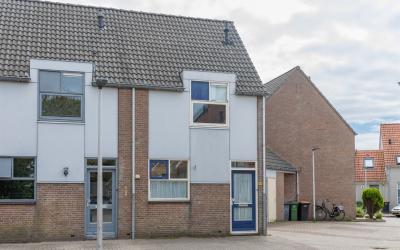 Pater Witte. 19