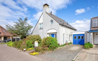 Middelton 7