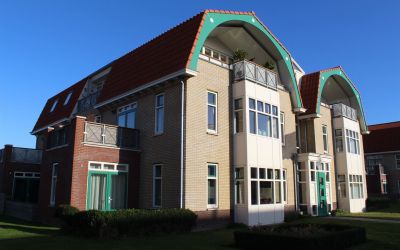 Distelvlinder 30