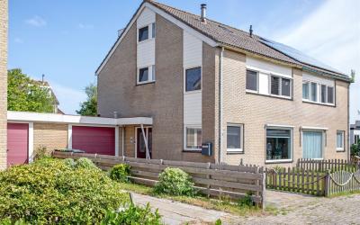 Wintergroen 32