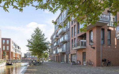 Schelphoek 184