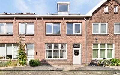 Roemer Viss. 17