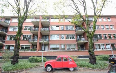 Iepenlaan 140