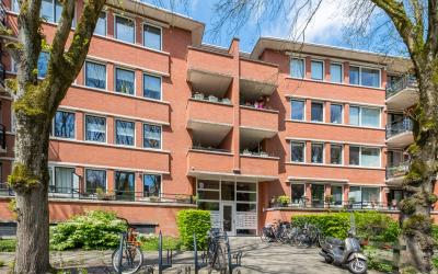Iepenlaan 144