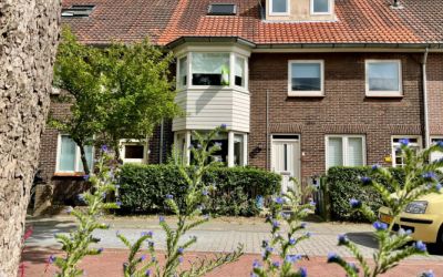 Van der Kaaijstraat 7