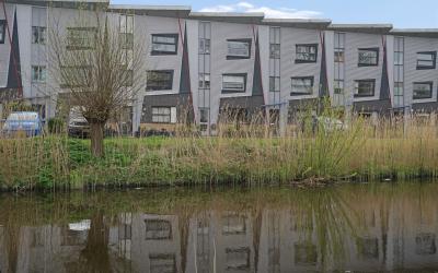 Scheldestra. 33