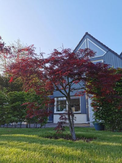 Prunuslaan 121