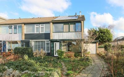 Fazantenlaan 31