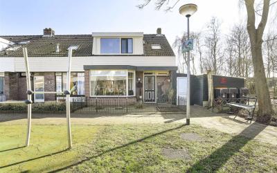 Roerdomp 19