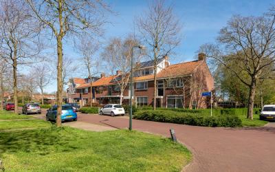 Tulpencroft. 48