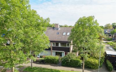 Vredenoord 36