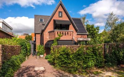 Doorntjes 41