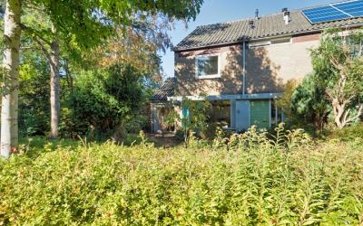 Wetering 31