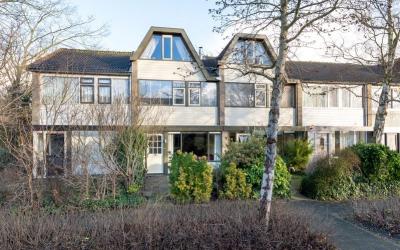 Wetering 51