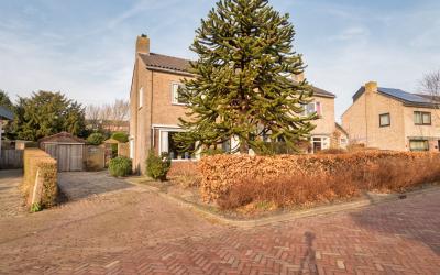 Kogendijk 3