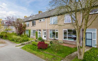 Hulstplants. 40