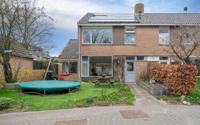 Hulstplants. 68