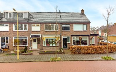 Koning Will. 16