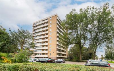 De Loet 42