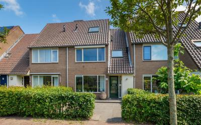 Teunisbloem 4