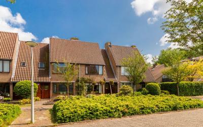 Vleugeltjes. 4