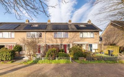 De Bloemen 45
