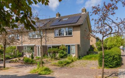 Pirola 2
