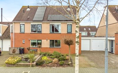 Zwanebloem 6