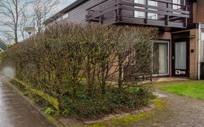 Molenbuurt 11