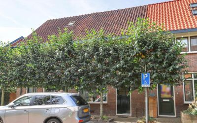 Deken Waare. 8