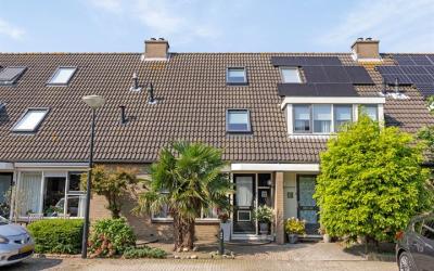 Willem Vess. 5
