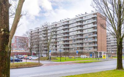 Uiverhof 40