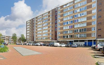 Uiverhof 50