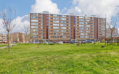 Uiverhof 80
