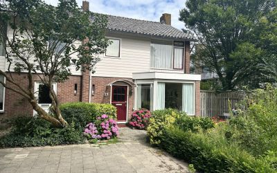 Cornelis Gr. 39